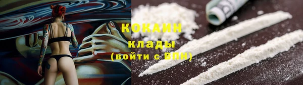 дживик Майский