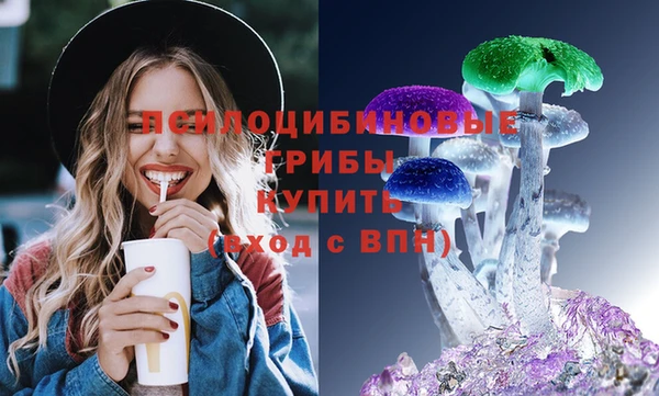 ешки Медвежьегорск