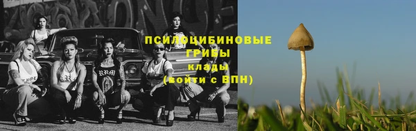 эйфоретик Лабытнанги
