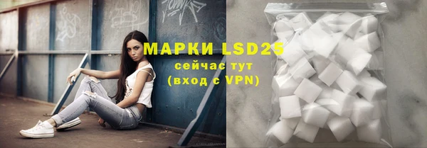 дживик Майский