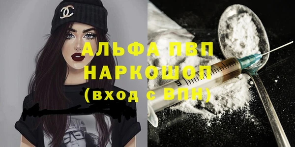 дживик Майский